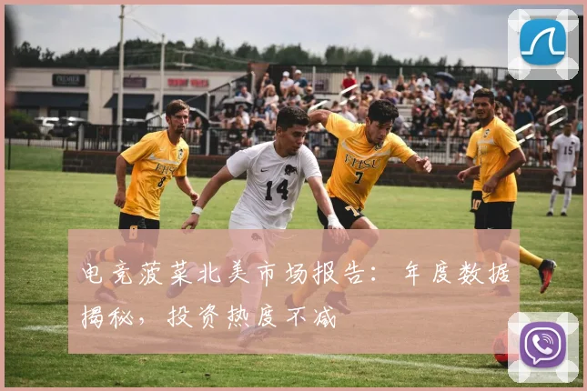 电竞菠菜北美市场报告:年度数据揭秘,投资热度不减